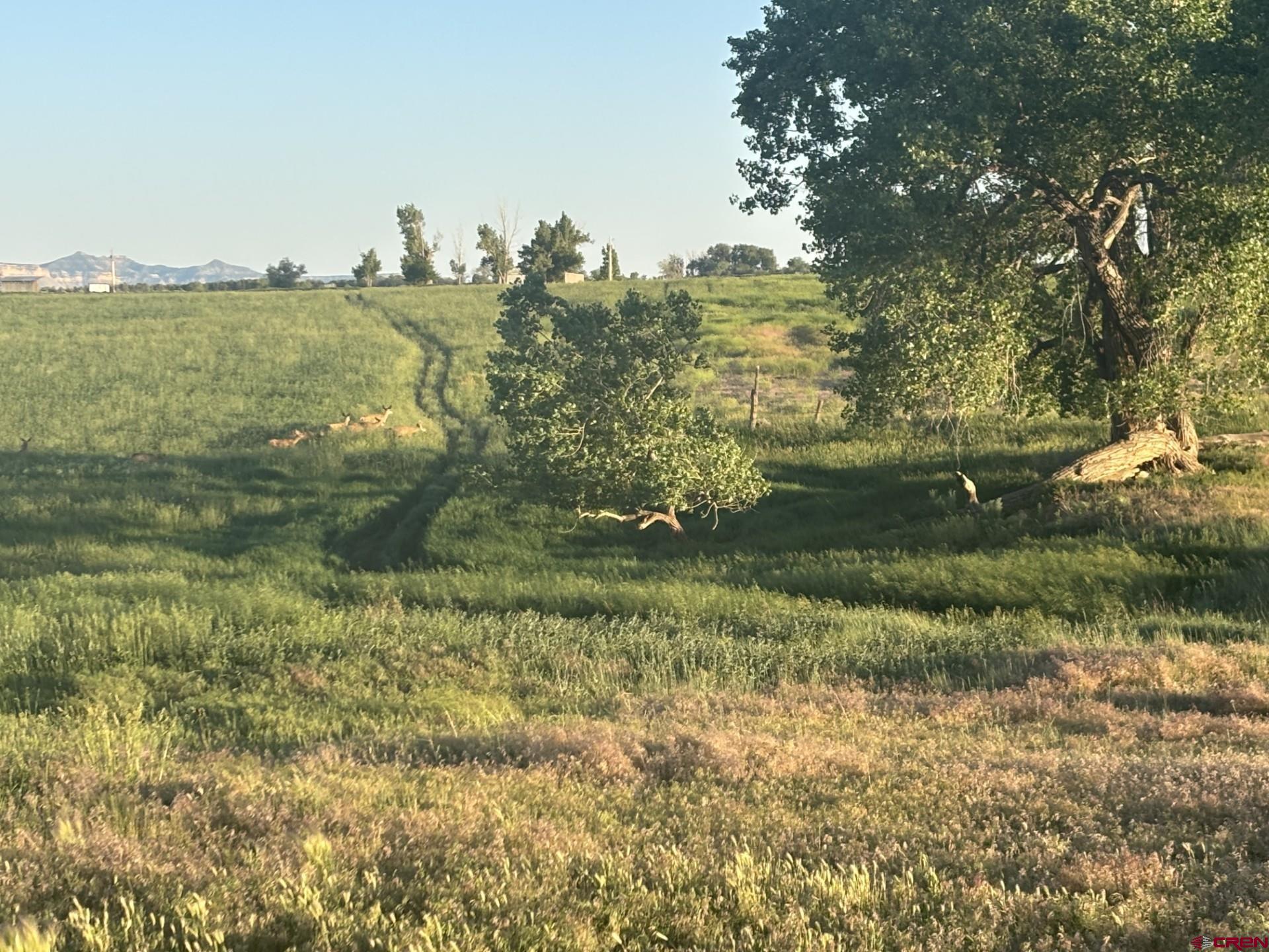 16513 Road 20 Cortez, CO 81321 - Photo 16 of 20 a view of lake with houses