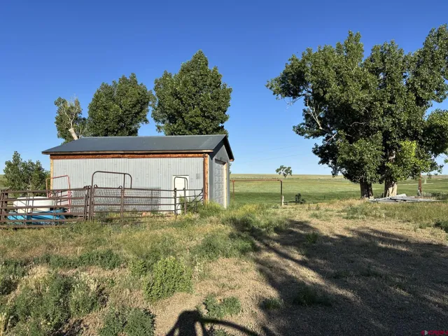 a view of yard with trees