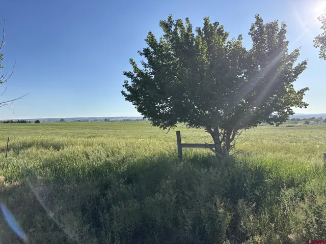 a view of a large yard with an ocean beach