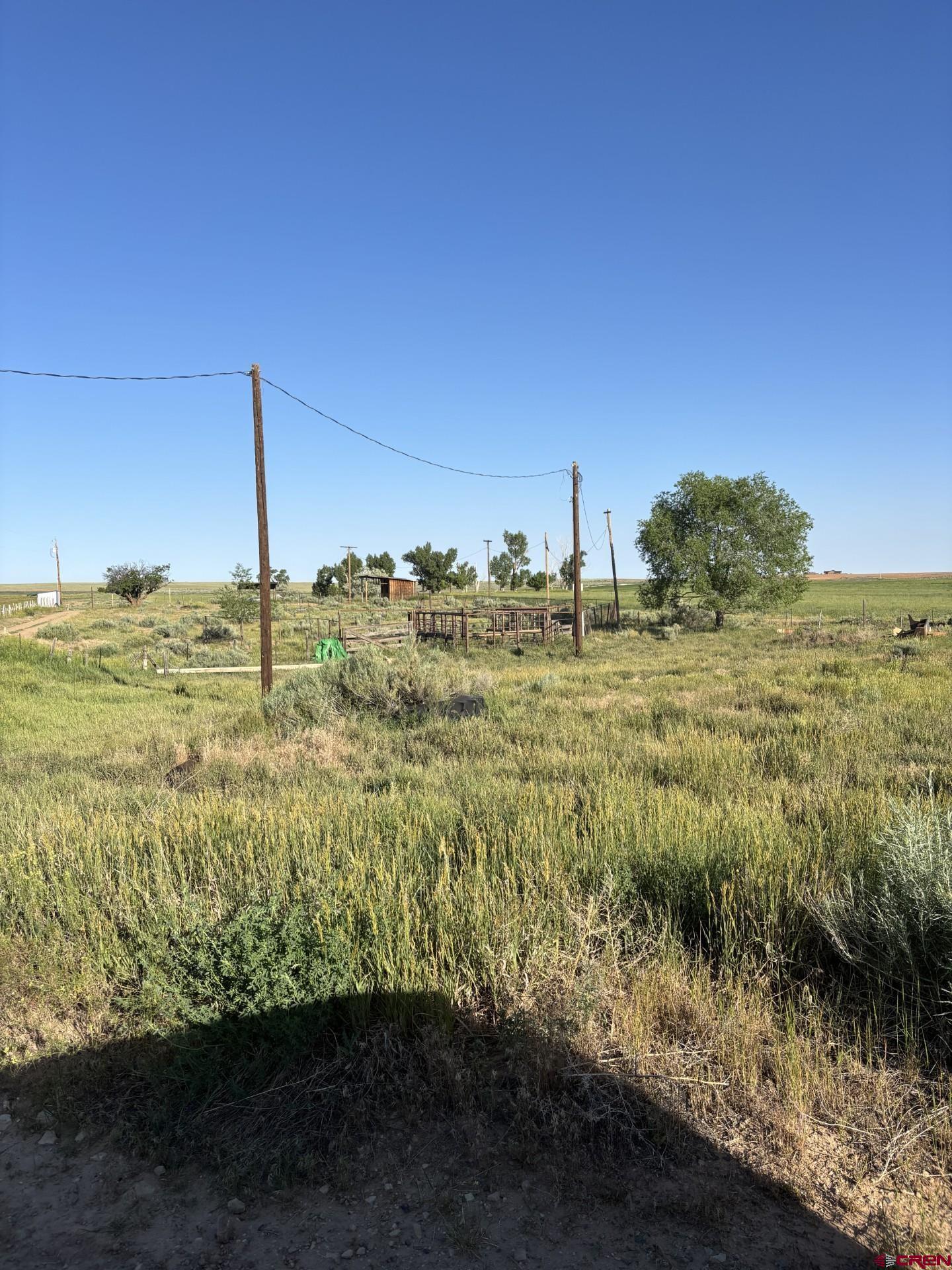 16513 Road 20 Cortez, CO 81321 - Photo 19 of 20 a view of a large yard with an ocean beach