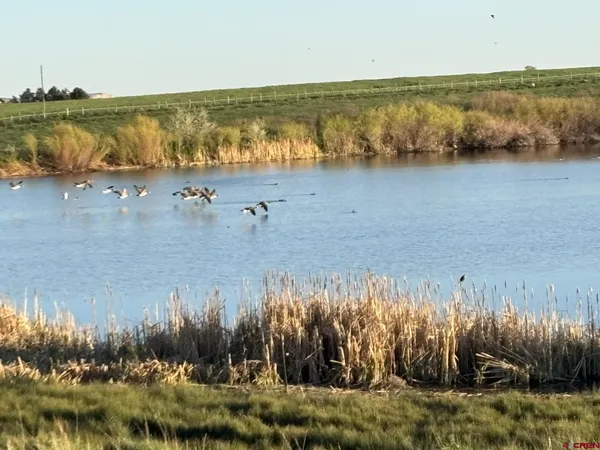a view of a lake with houses in the background