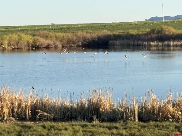 a view of a lake from a yard