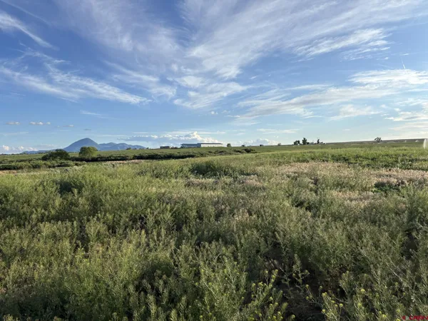 a view of a city with lush green forest