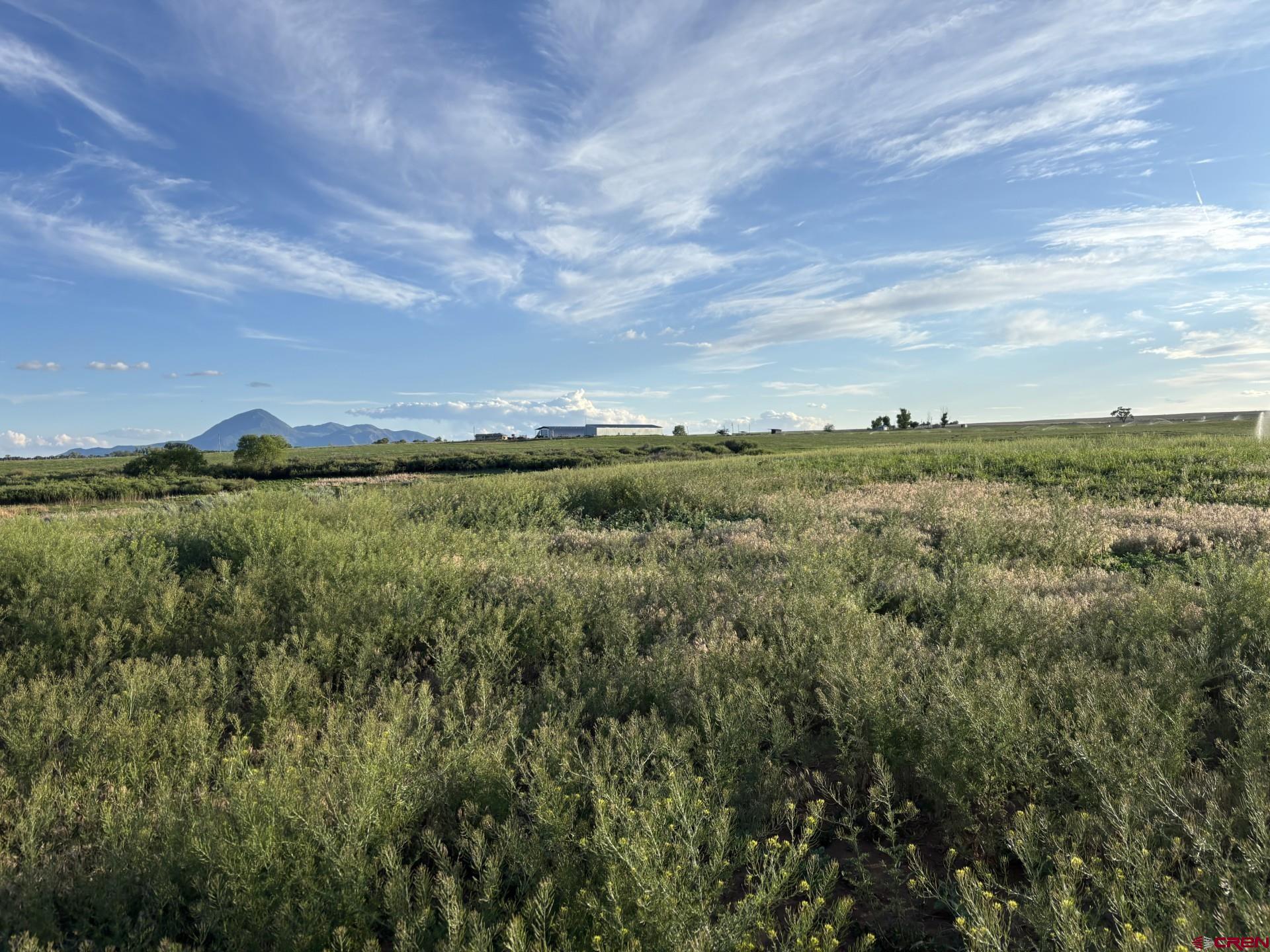 16513 Road 20 Cortez, CO 81321 - Photo 8 of 20 a view of a city with lush green forest
