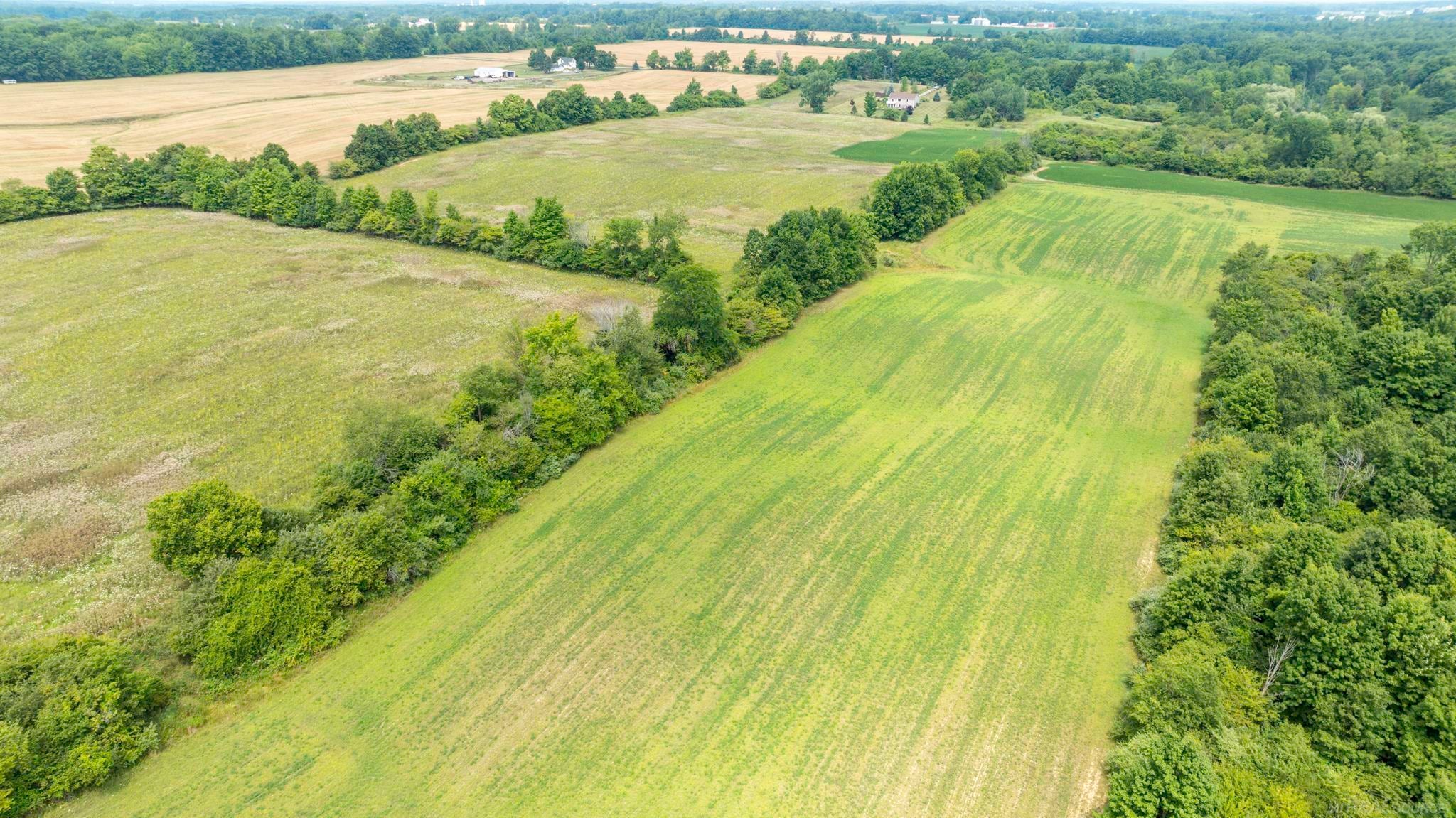 6144 Mortimer Line Road Croswell, MI 48422 - Photo 63 of 67 Gallery Image 63