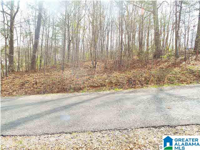 1 Ransome Drive, Unit 1 Oneonta, AL 35121 - Photo 1 of 6