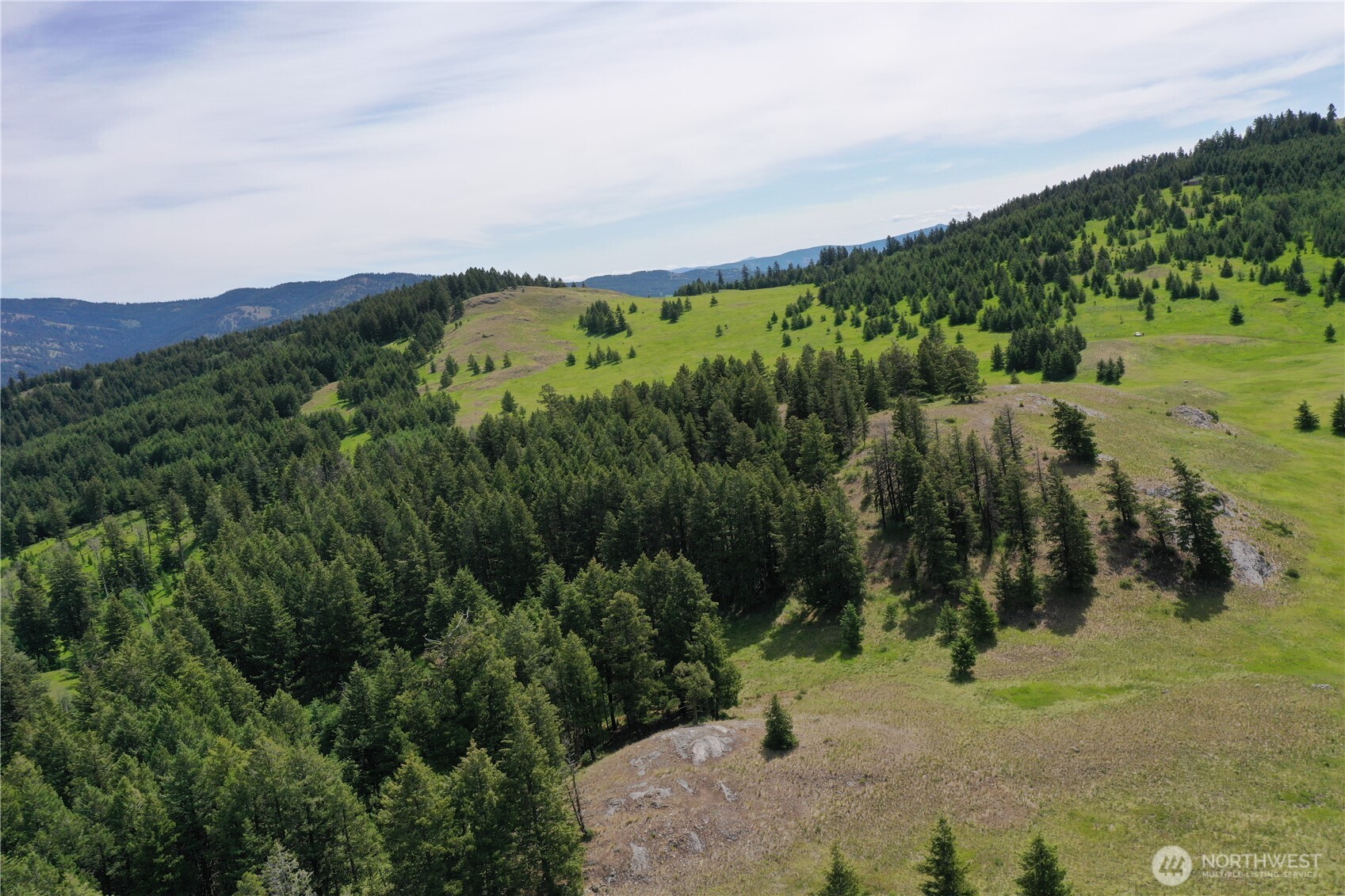37 Turner Homestead Road Oroville, WA 98844 - Photo 1 of 39 a view of a field with a tree