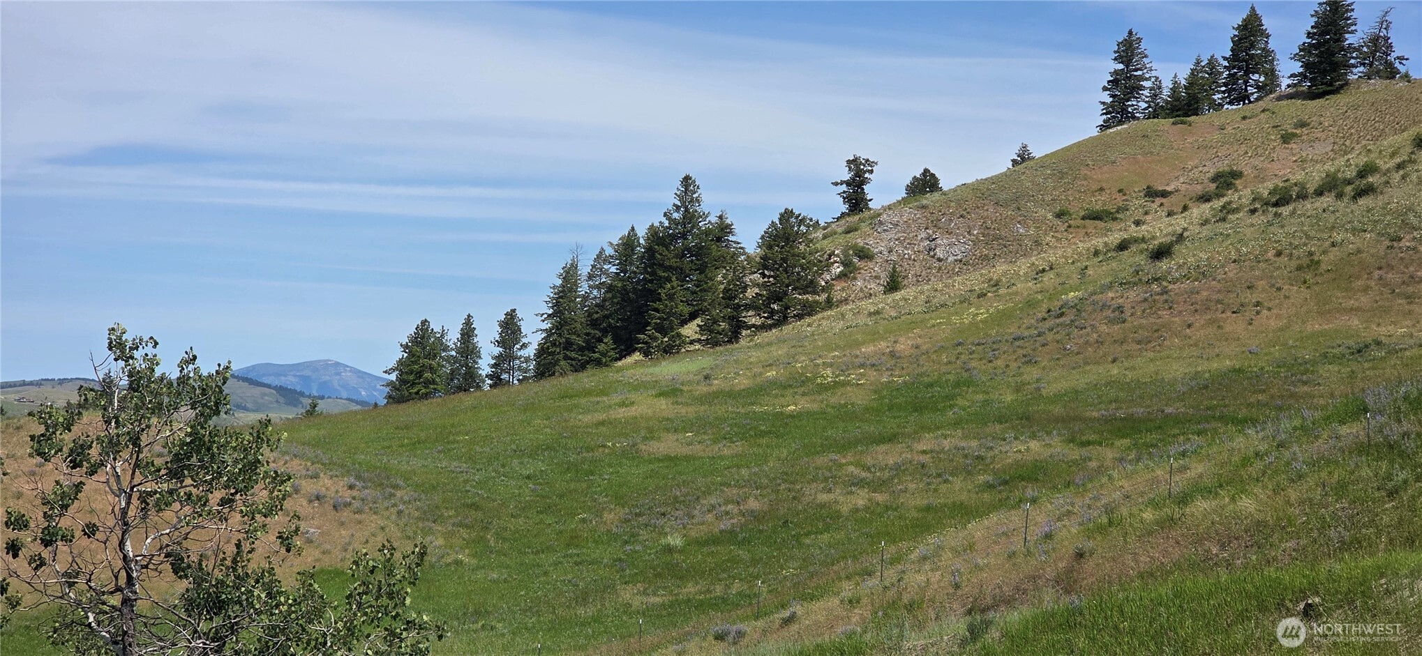 37 Turner Homestead Road Oroville, WA 98844 - Photo 13 of 39 a view of a field with a tree in the background