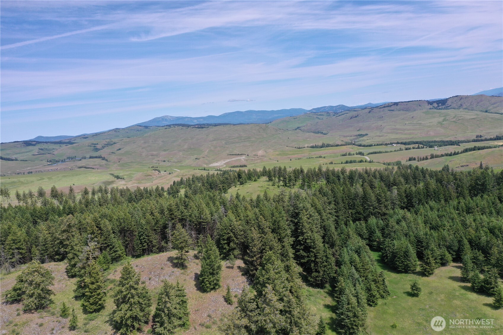 37 Turner Homestead Road Oroville, WA 98844 - Photo 15 of 39 a view of a lush green hillside and a houses