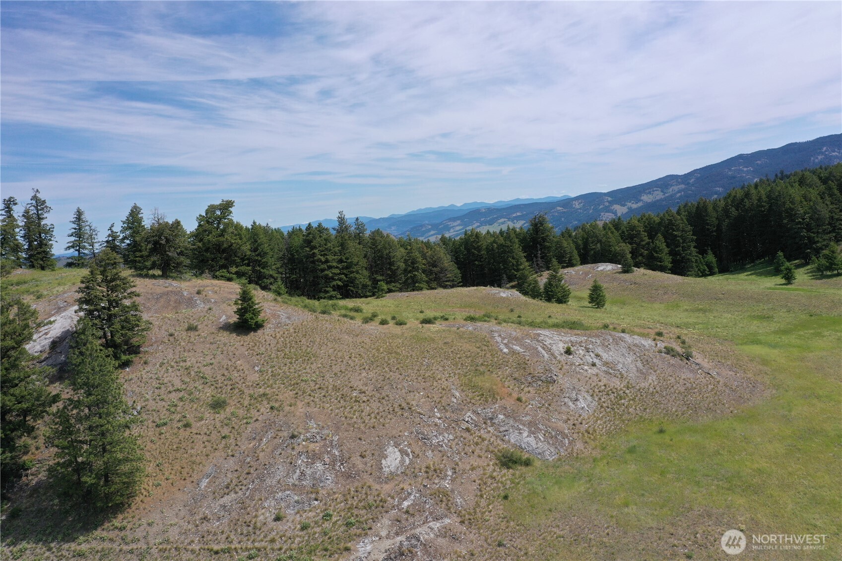 37 Turner Homestead Road Oroville, WA 98844 - Photo 25 of 39 a view of a dry yard with trees