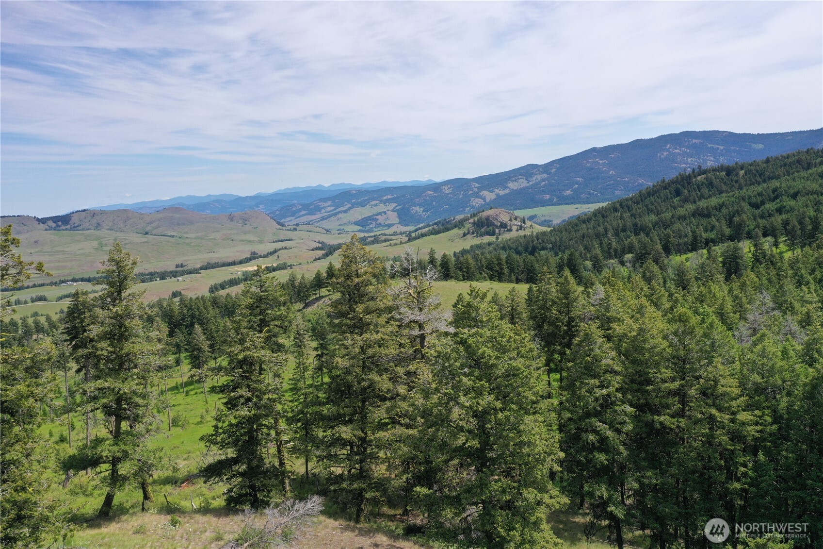 37 Turner Homestead Road Oroville, WA 98844 - Photo 28 of 39 a view of a lush green hillside and a mountain