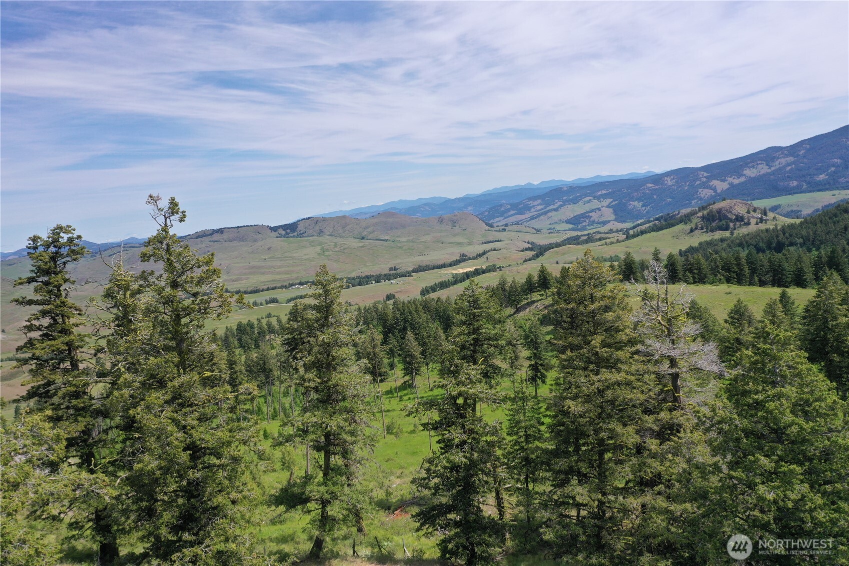 37 Turner Homestead Road Oroville, WA 98844 - Photo 29 of 39 an aerial view of houses covered in trees