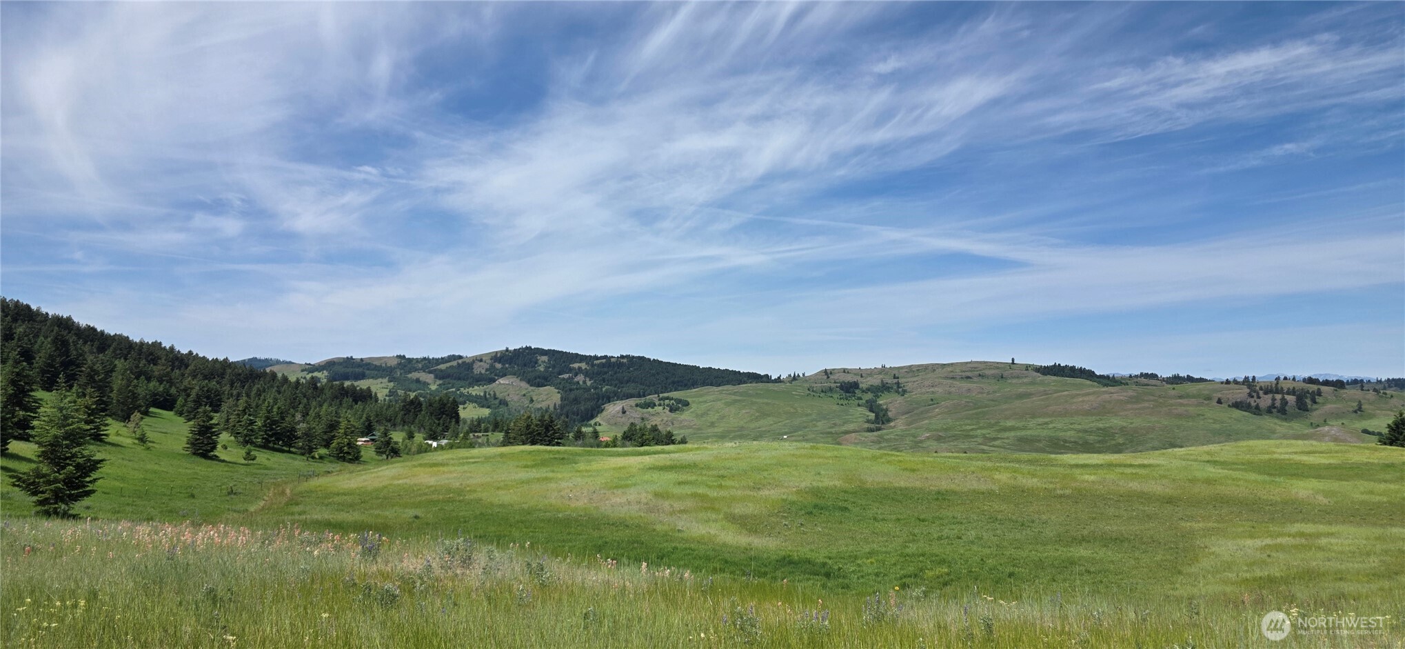 37 Turner Homestead Road Oroville, WA 98844 - Photo 3 of 39 a view of an aerial view of residential houses with outdoor space and trees