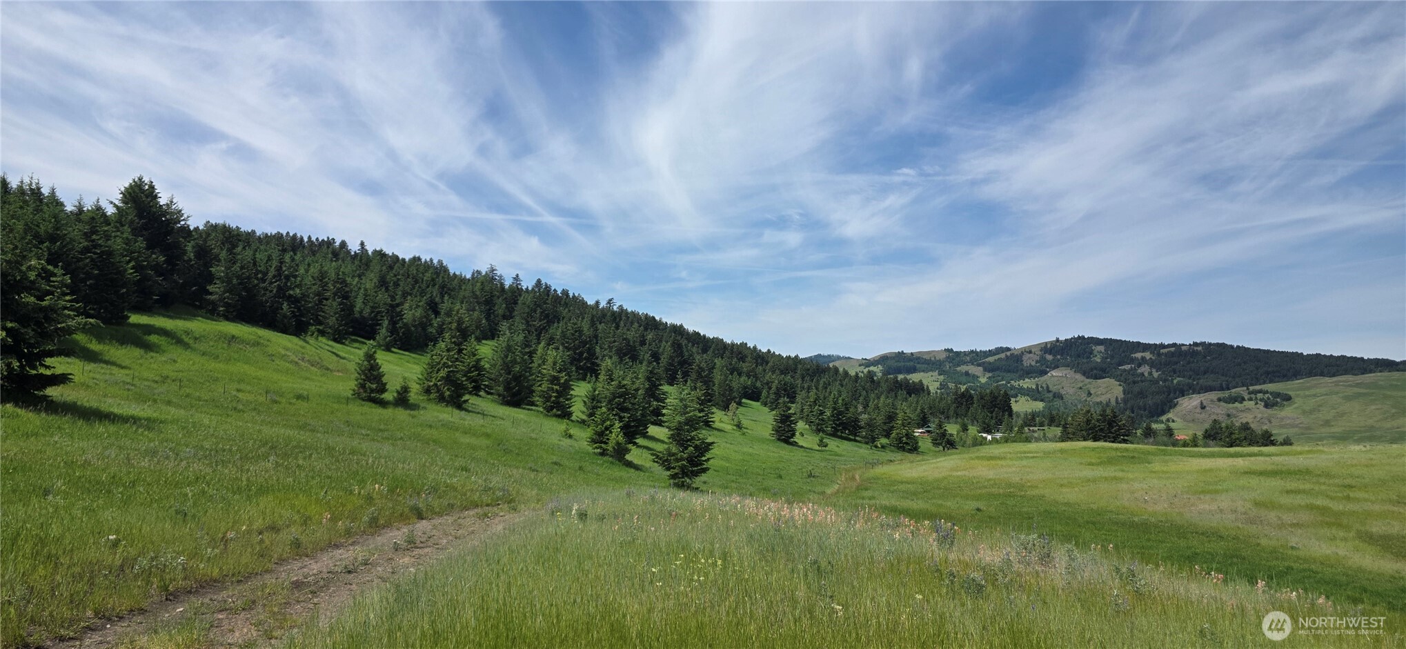 37 Turner Homestead Road Oroville, WA 98844 - Photo 4 of 39 a view of grassy field with mountain