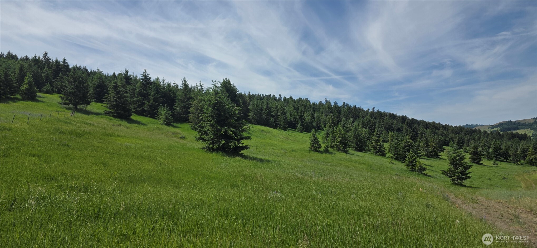 37 Turner Homestead Road Oroville, WA 98844 - Photo 5 of 39 a view of a field of grass and trees