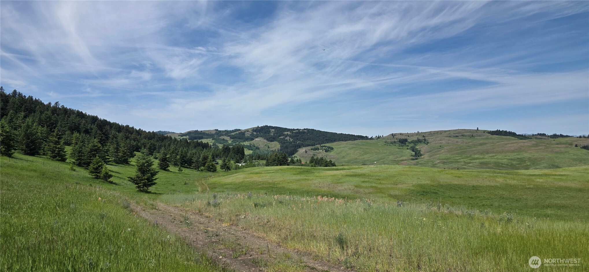 37 Turner Homestead Road Oroville, WA 98844 - Photo 6 of 39 a view of an mountain with outdoor space