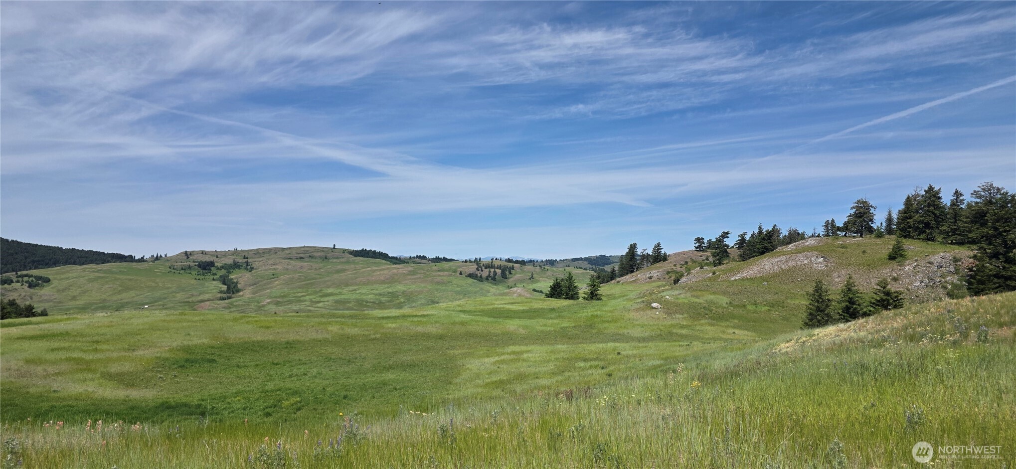 37 Turner Homestead Road Oroville, WA 98844 - Photo 7 of 39 a view of an ocean