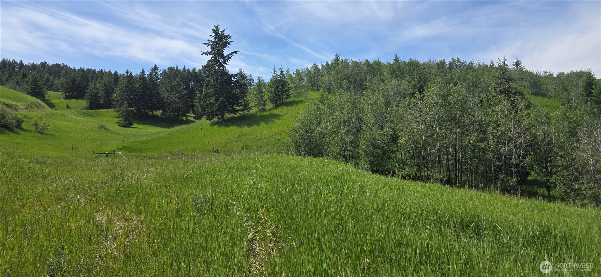 37 Turner Homestead Road Oroville, WA 98844 - Photo 10 of 39 a view of a lush green space