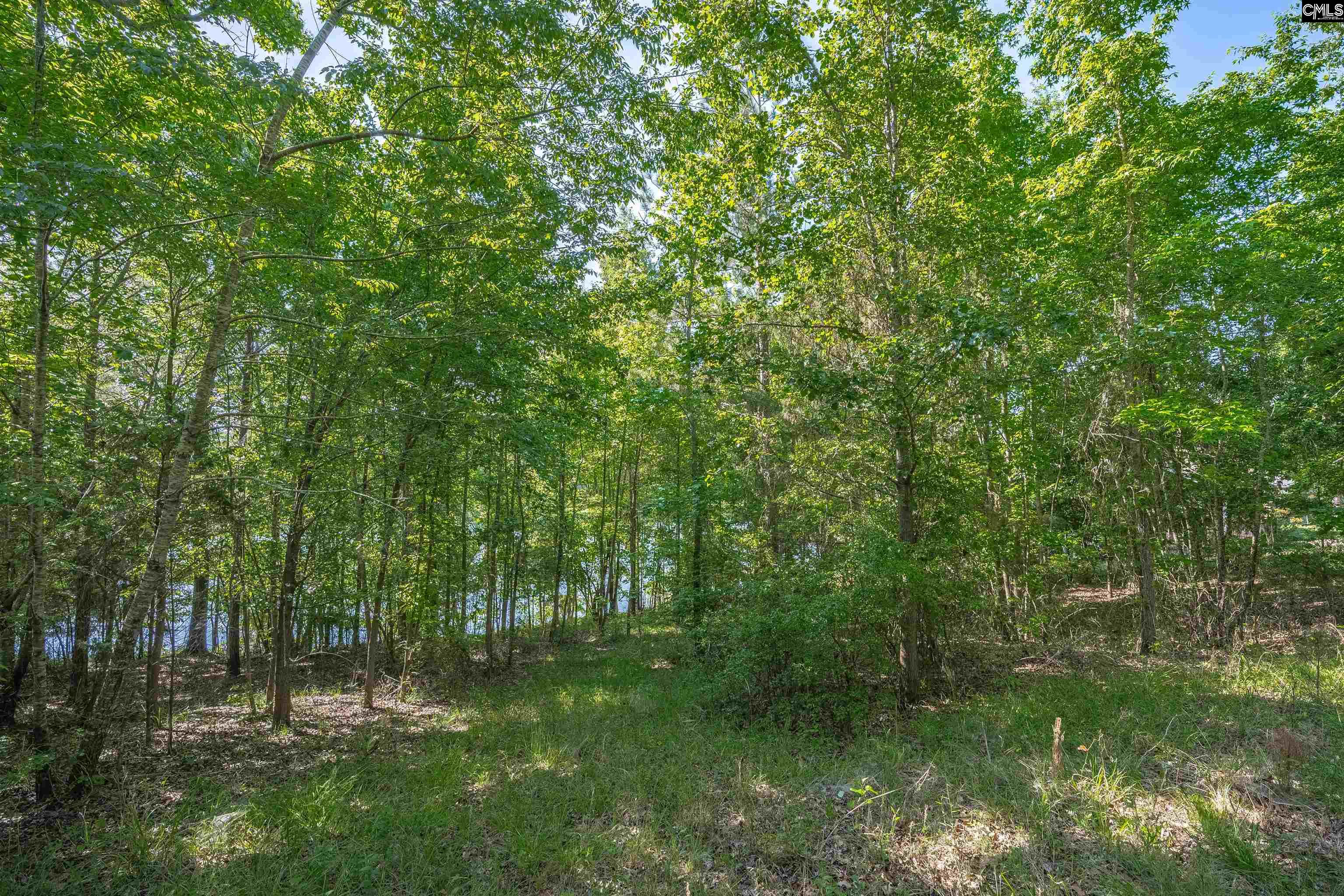 2022 Lake Road Ridgeway, SC 29130 - Photo 14 of 21