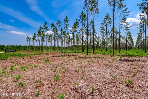 $195,000 | Lot 10 Georgia Street, Hilliard, FL 32046