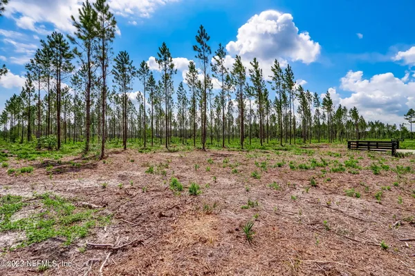 $195,000 | Lot 10 Georgia Street, Hilliard, FL 32046