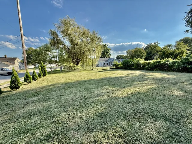 a view of a field with an trees
