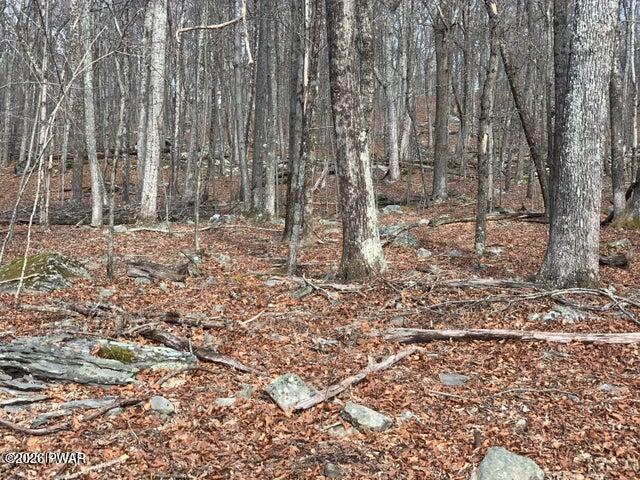 Lot 644 Woodcock Road Bushkill, PA 18324 - Photo 3 of 4