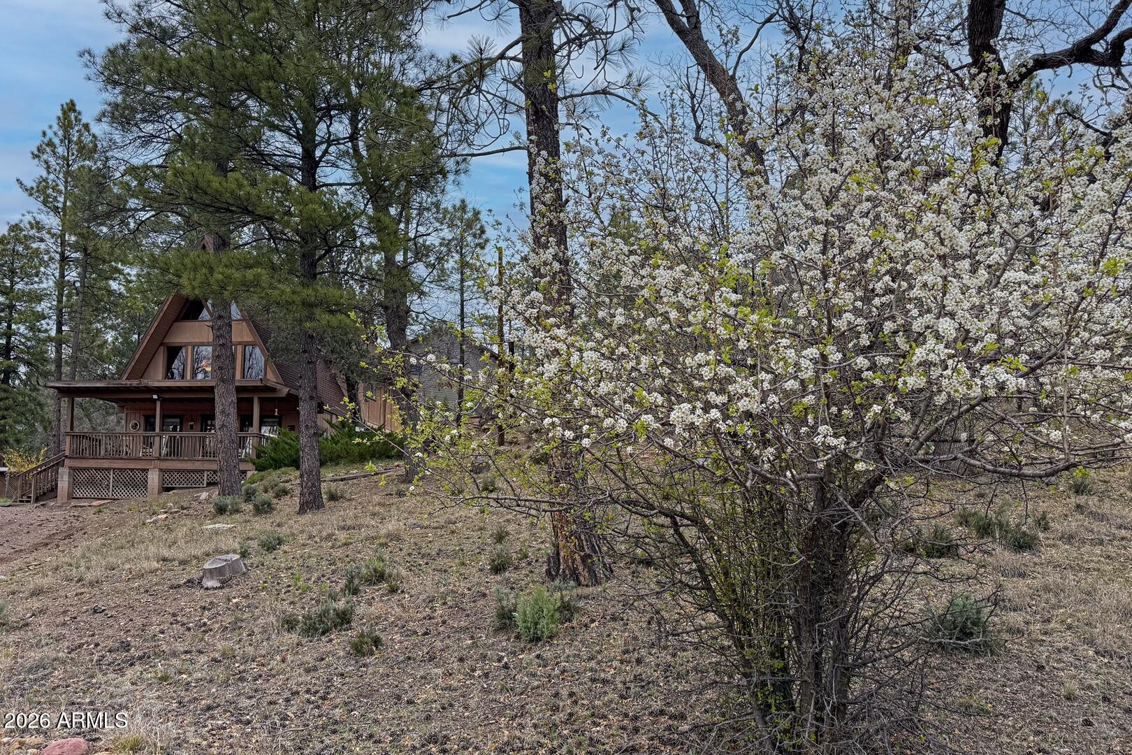477 South Morris Meadows Payson, AZ 85541 - Photo 51 of 52 IMG_ 53