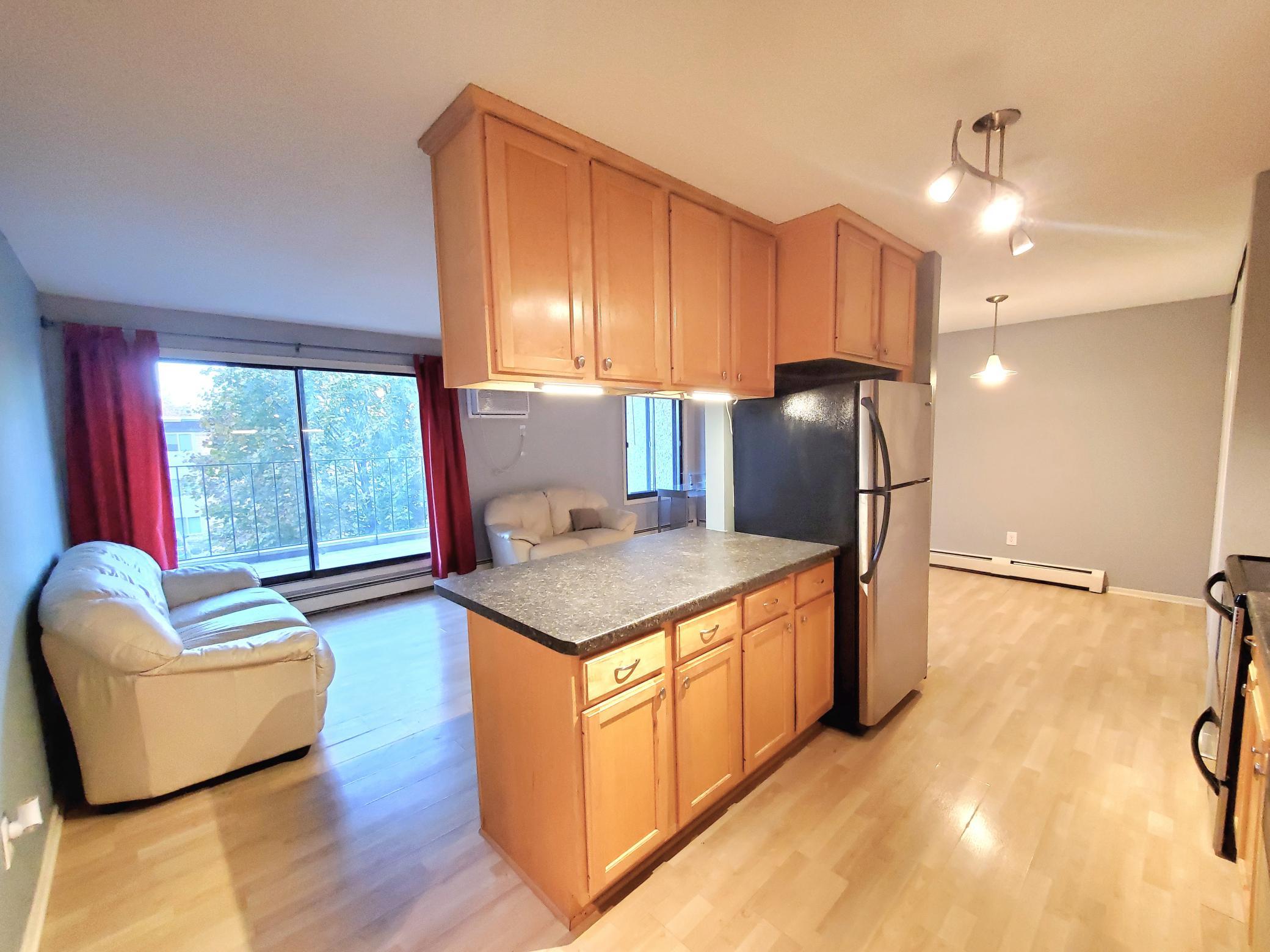 4110 Rahn Road, Unit 215 Eagan, MN 55122 - Photo 1 of 1 Gallery Image 1