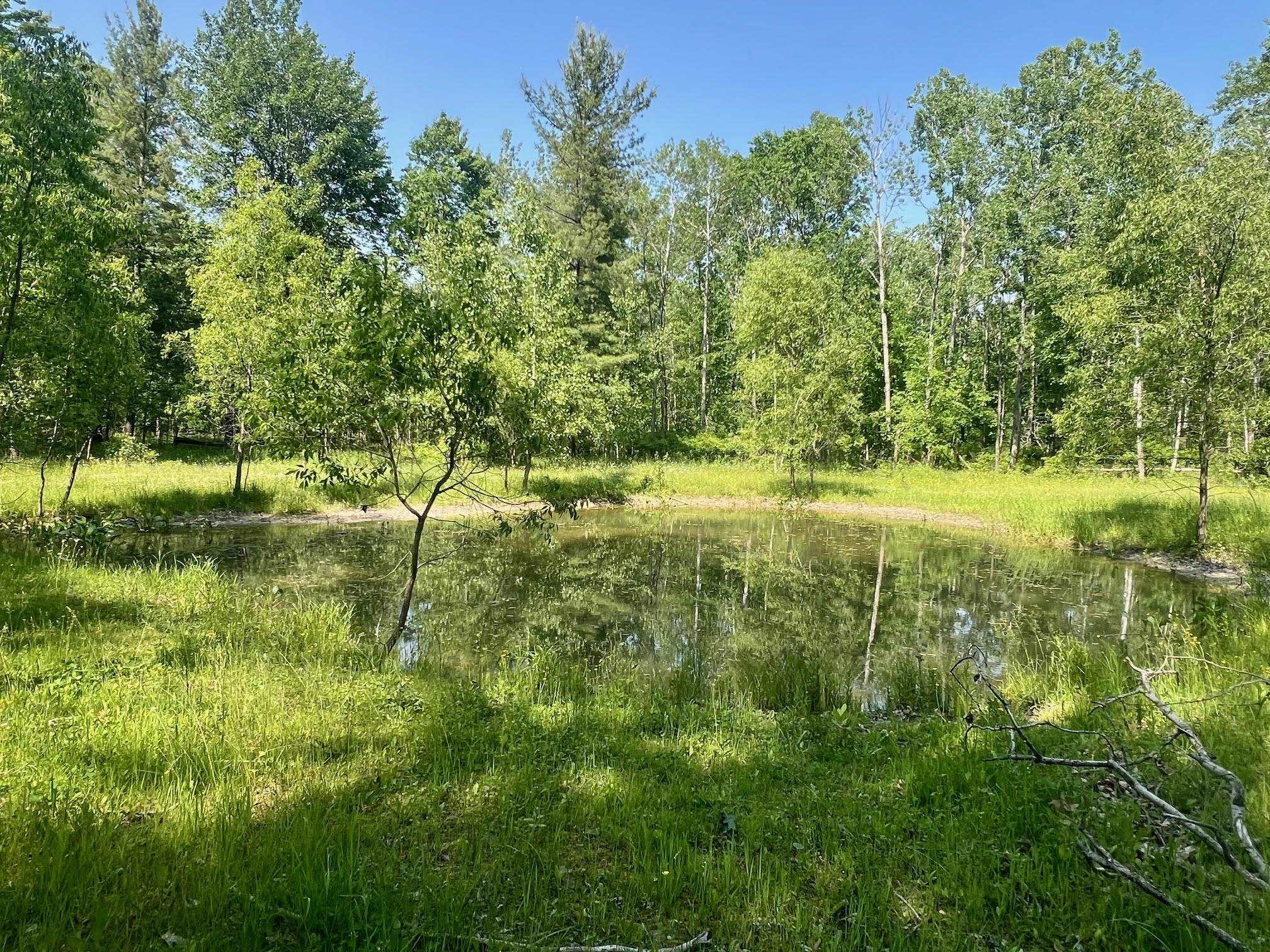 760 West Wirbel Road Pinconning, MI 48650 - Photo 58 of 65