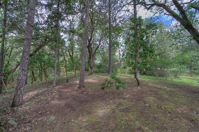 7192 Lower River Road Grants Pass, OR 97526 - Photo 28 of 30 a view of a forest with trees in the background