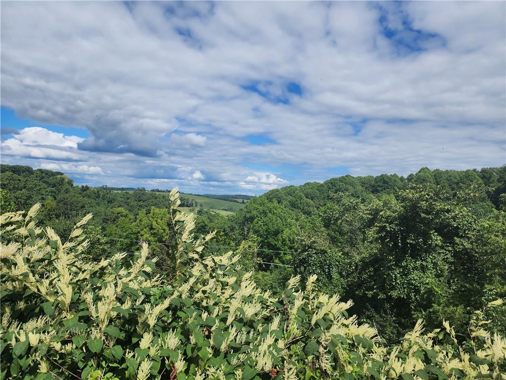 Beautiful views. Even better if you trim down some tall bushes.