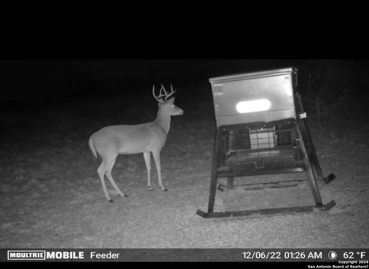 6116-private Rd North 6116-private Road Hamilton, TX 76531 - Photo 14 of 15