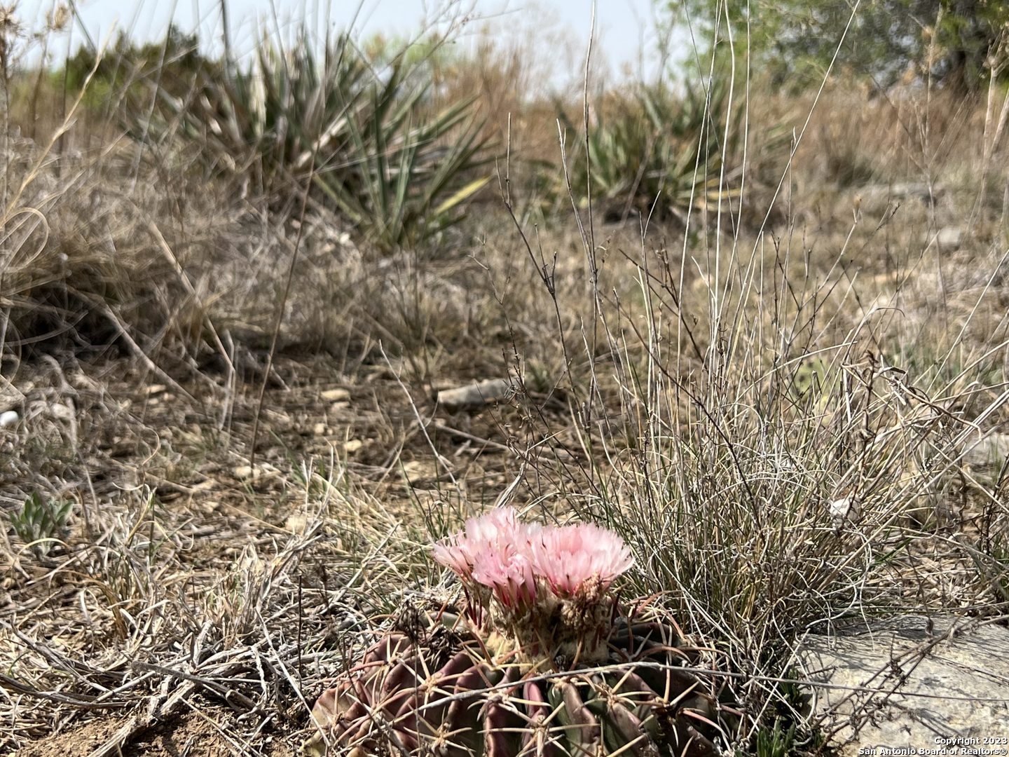 6116-private Rd North 6116-private Road Hamilton, TX 76531 - Photo 2 of 15