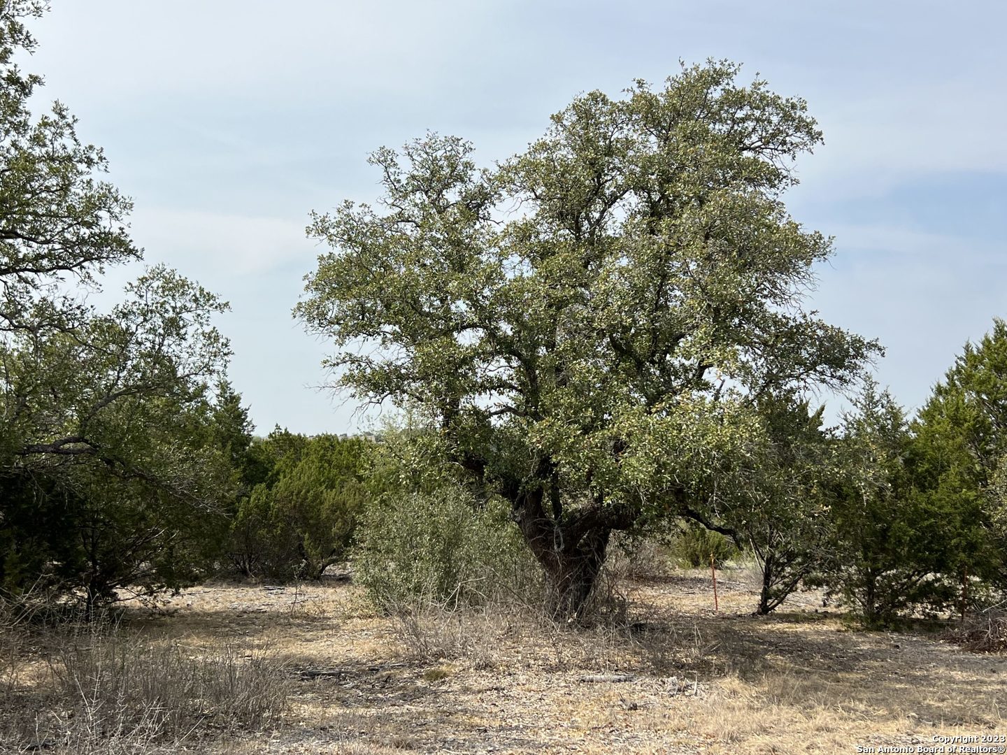 6116-private Rd North 6116-private Road Hamilton, TX 76531 - Photo 4 of 15