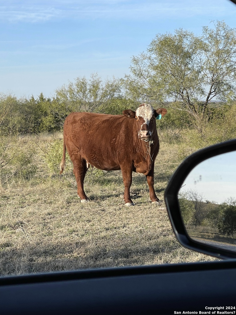 6116-private Rd North 6116-private Road Hamilton, TX 76531 - Photo 6 of 15