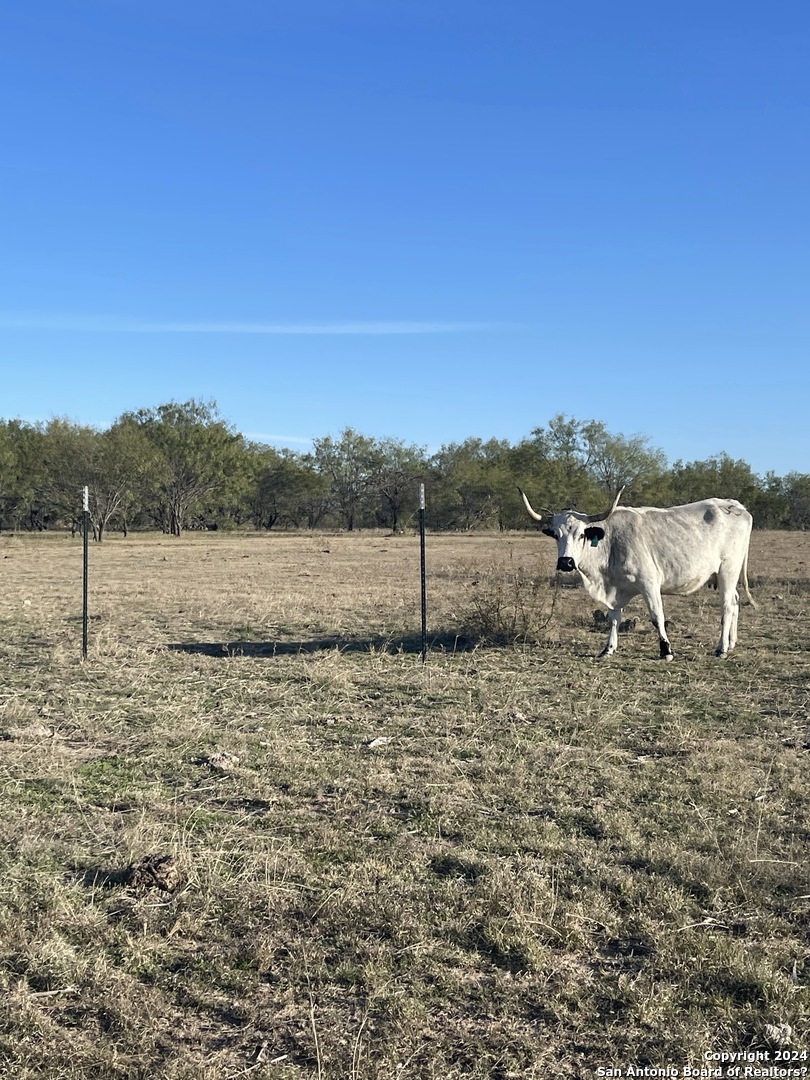 6116-private Rd North 6116-private Road Hamilton, TX 76531 - Photo 7 of 15