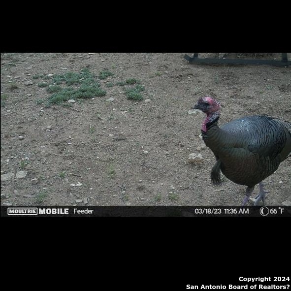 6116-private Rd North 6116-private Road Hamilton, TX 76531 - Photo 9 of 15