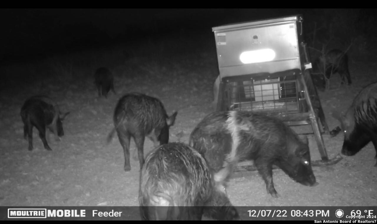 6116-private Rd North 6116-private Road Hamilton, TX 76531 - Photo 10 of 15