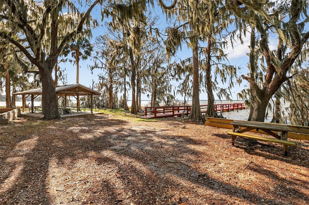 1242 Palmetto Road Eustis, FL 32726 - Photo 36 of 49