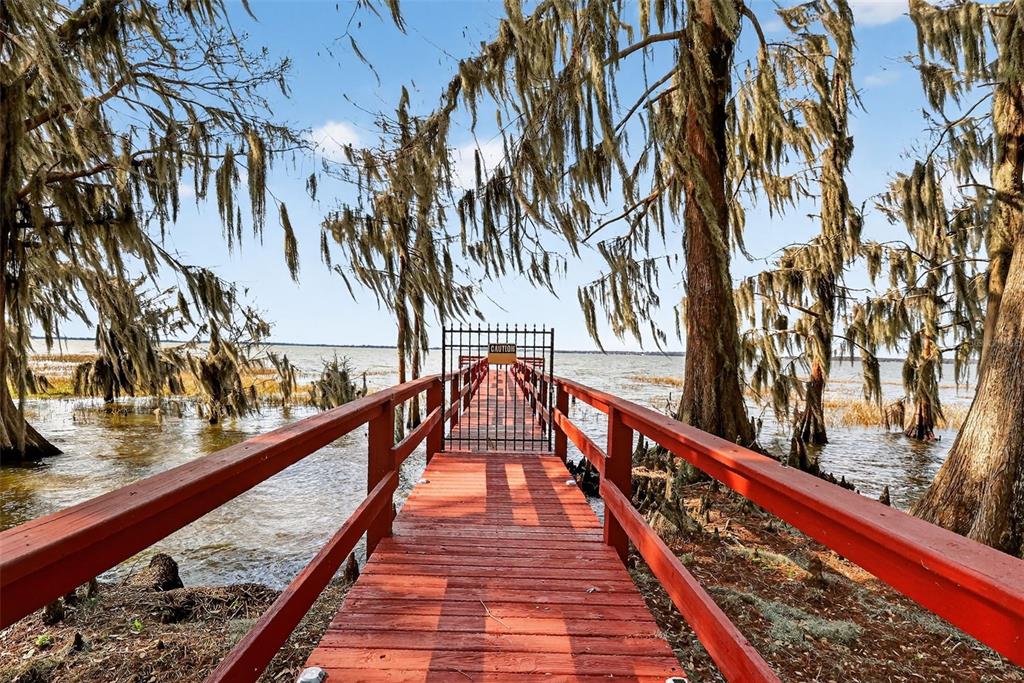 1242 Palmetto Road Eustis, FL 32726 - Photo 39 of 49