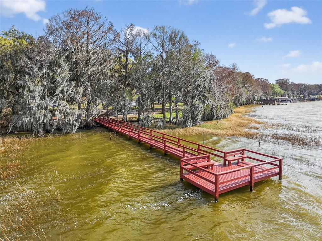 1242 Palmetto Road Eustis, FL 32726 - Photo 42 of 49