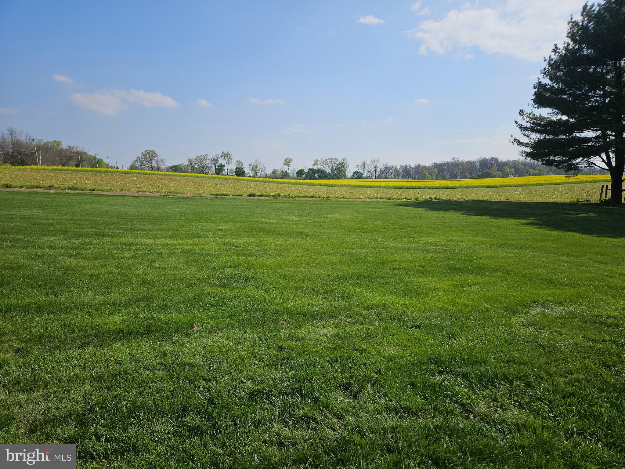 300 Quarry Road Kutztown, PA 19530 - Photo 47 of 60 View from yard