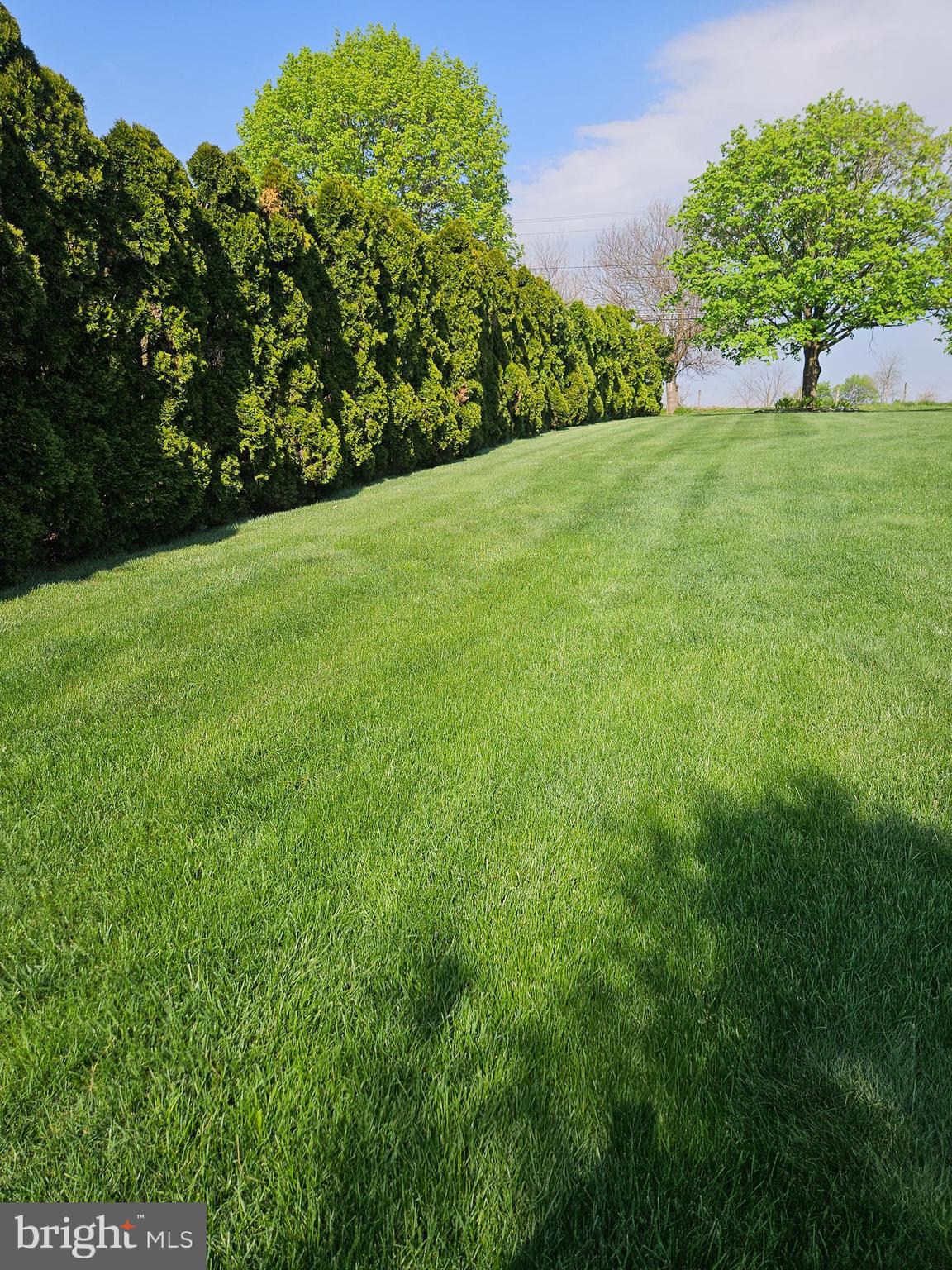 300 Quarry Road Kutztown, PA 19530 - Photo 48 of 60 Side Yard