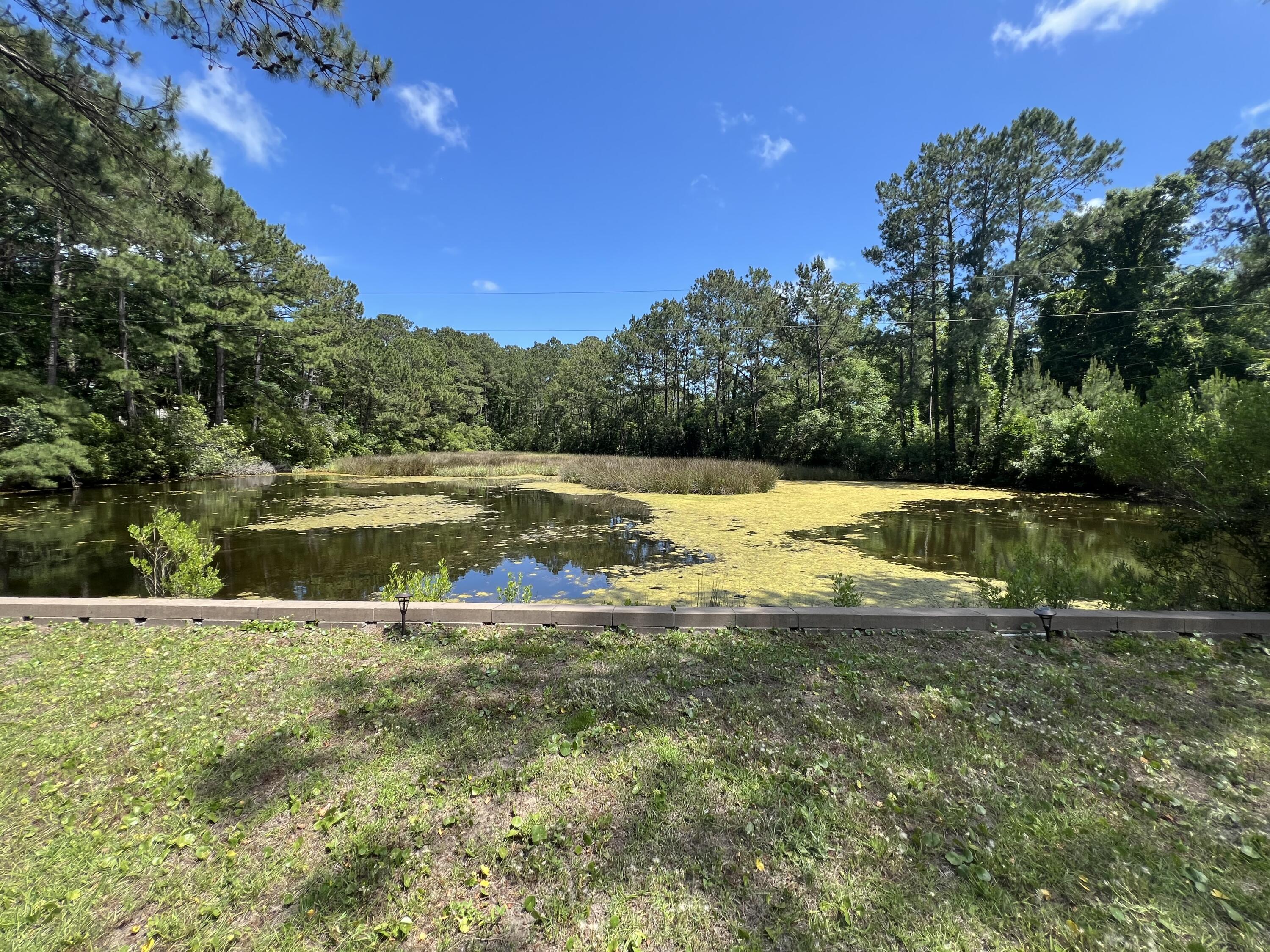 3351 River Landing Road Johns Island, SC 29455 - Photo 55 of 55 image_50753025