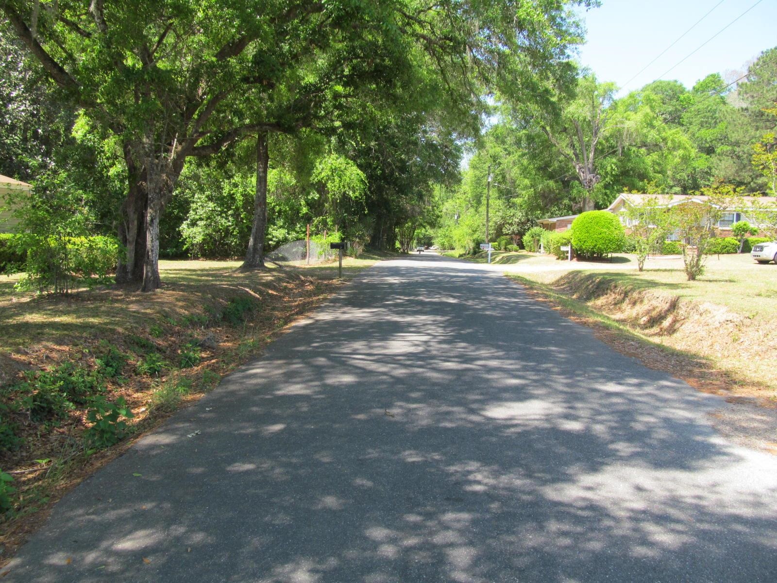 20 Perry Lane Havana, FL 32333 - Photo 21 of 21