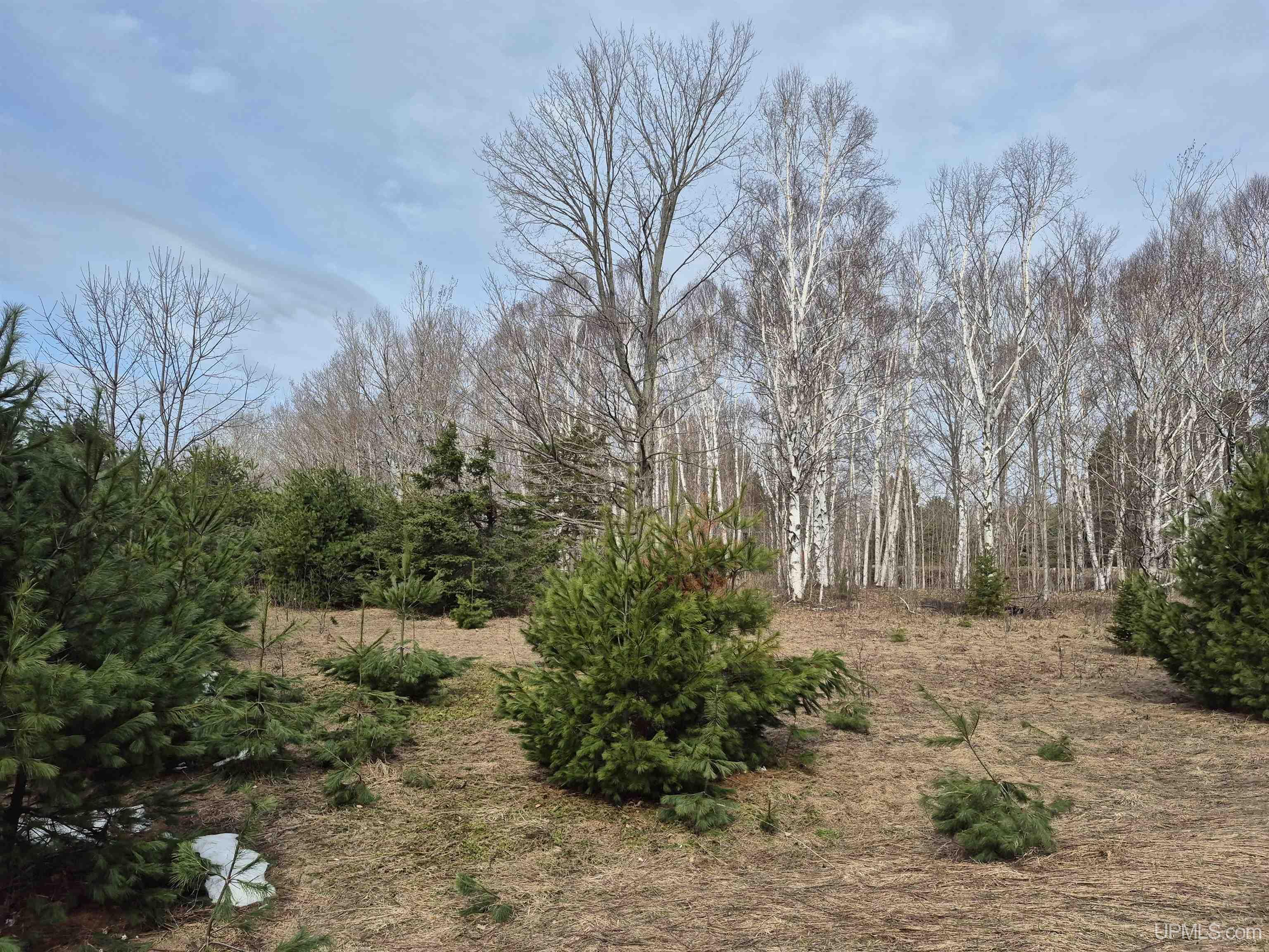 3754 Quarry Road Gulliver, MI 49840 - Photo 22 of 77