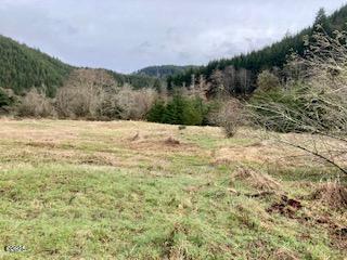 Three Three Rivers Highway Hebo, OR 97122 - Photo 6 of 11 Hunt looking east from west boundry