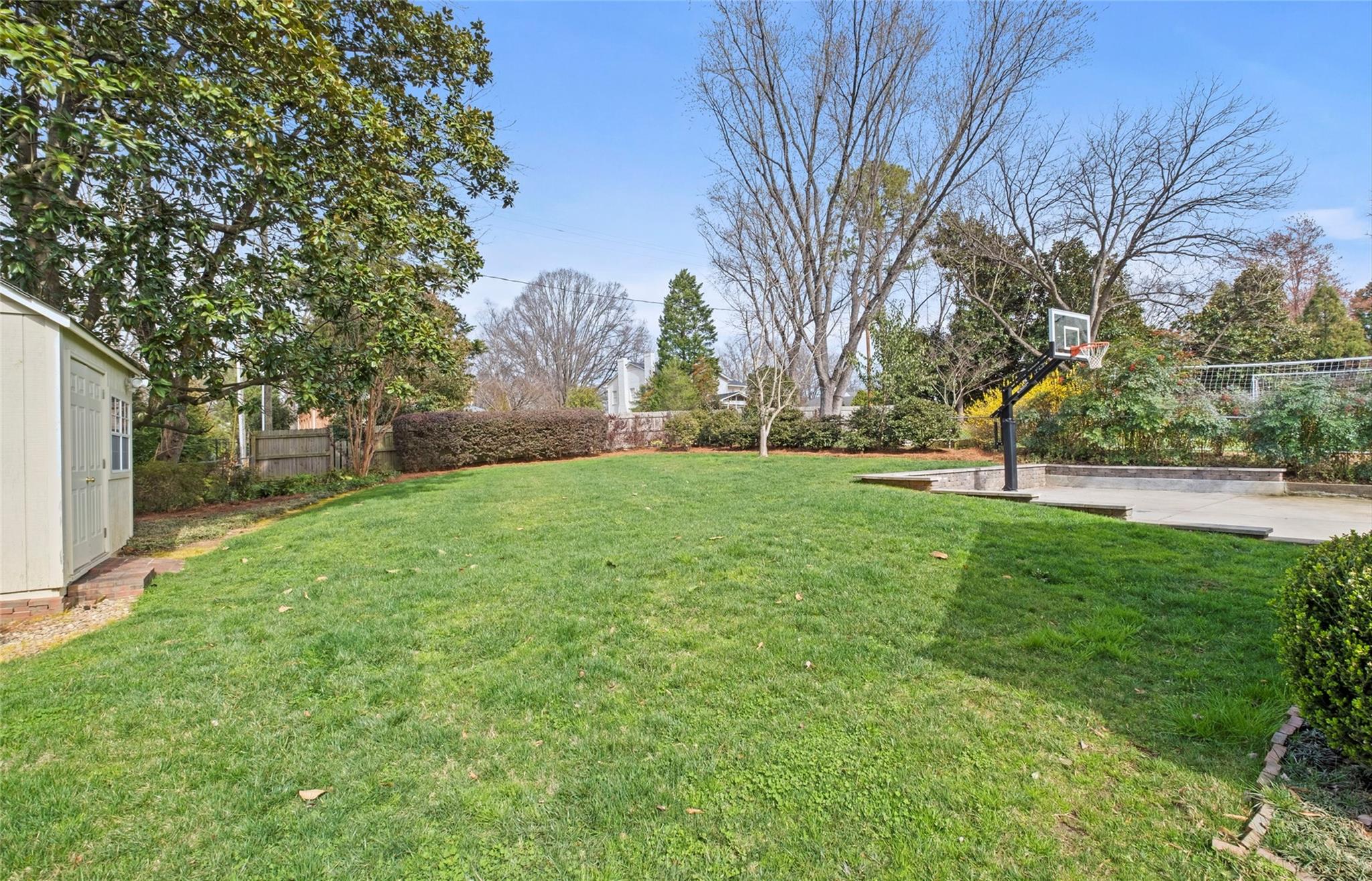 3136 Clarendon Road Charlotte, NC 28211 - Photo 45 of 47 a view of garden with trees