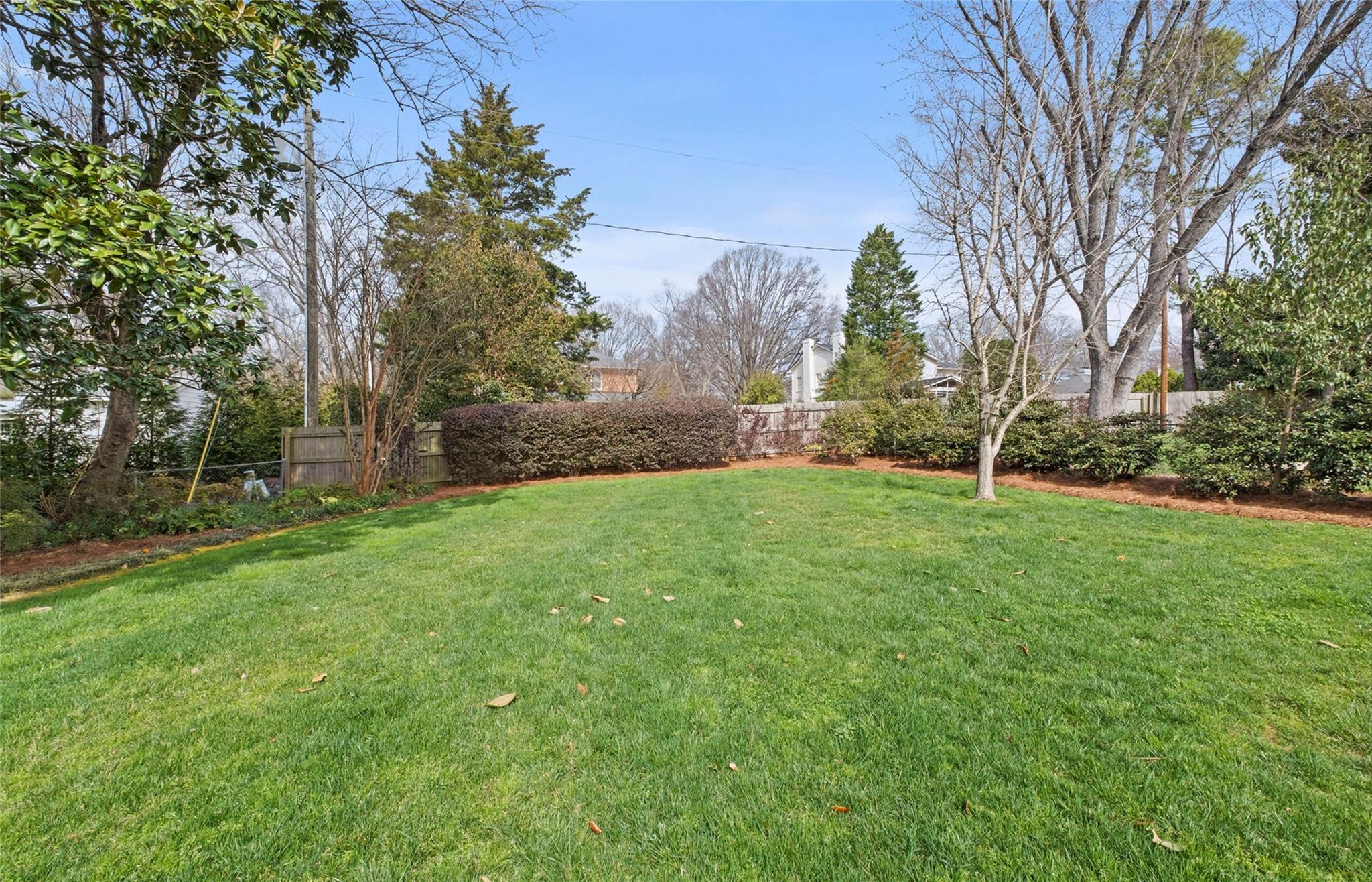 3136 Clarendon Road Charlotte, NC 28211 - Photo 46 of 47 a view of a backyard with large trees